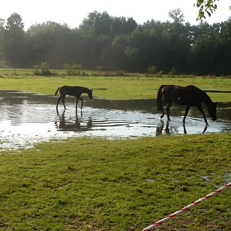 Hotel Up De Birke Ladbergen