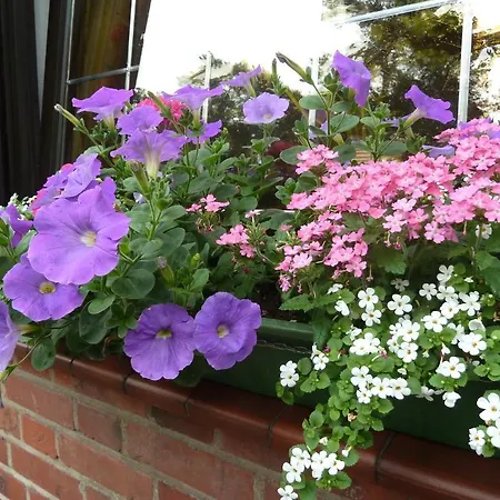 Up De Birke 3* Ladbergen