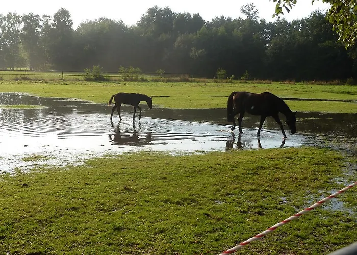Ξενοδοχείο Up De Birke Ladbergen