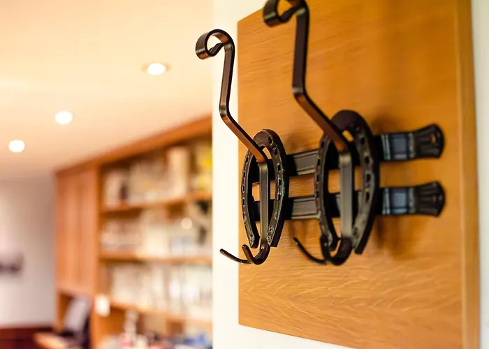 Ξενοδοχείο Up De Birke 3*