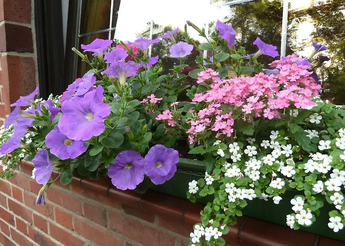 Up De Birke 3* Ladbergen